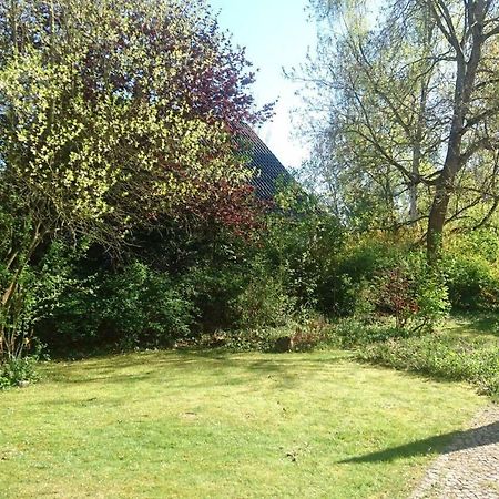 Sonniges Haeuschen Mit Garten Braunschweig Kültér fotó