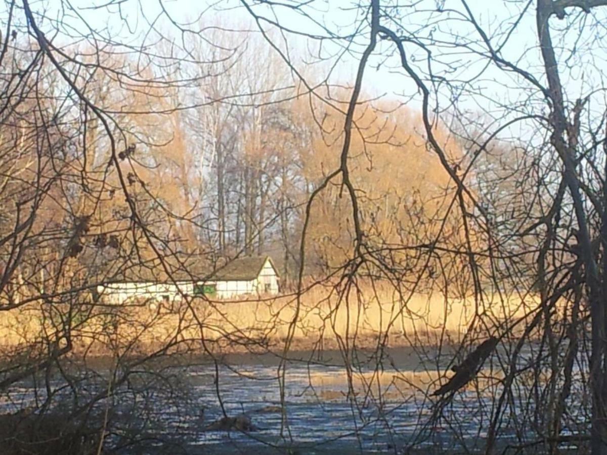 Sonniges Haeuschen Mit Garten Braunschweig Kültér fotó
